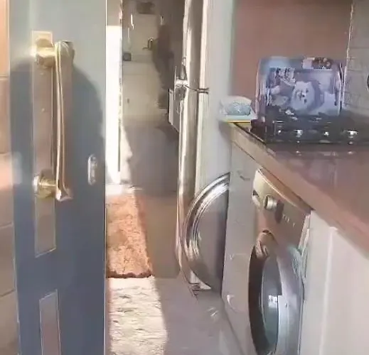 Apartment شالية بقرية الذهبية *